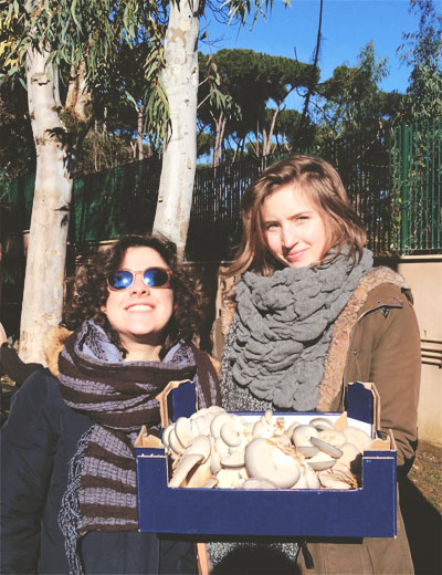 Raccolto studenti